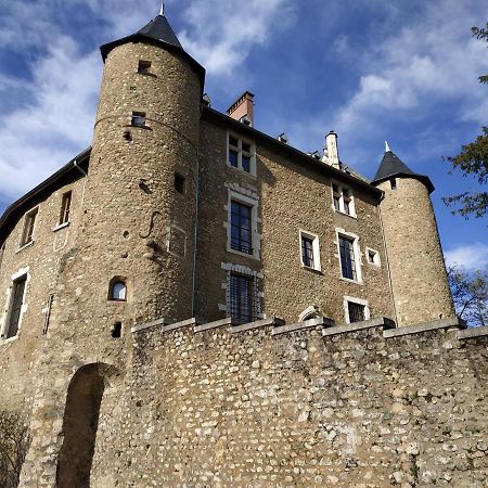 Appartement Chateau Uriage-Chamrousse Saint-Martin-dʼUriage Εξωτερικό φωτογραφία