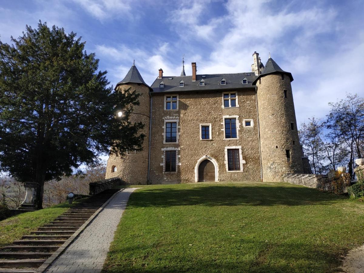 Appartement Chateau Uriage-Chamrousse Saint-Martin-dʼUriage Εξωτερικό φωτογραφία