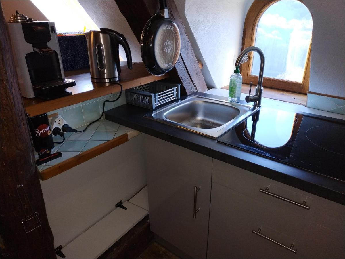 Appartement Chateau Uriage-Chamrousse Saint-Martin-dʼUriage Εξωτερικό φωτογραφία