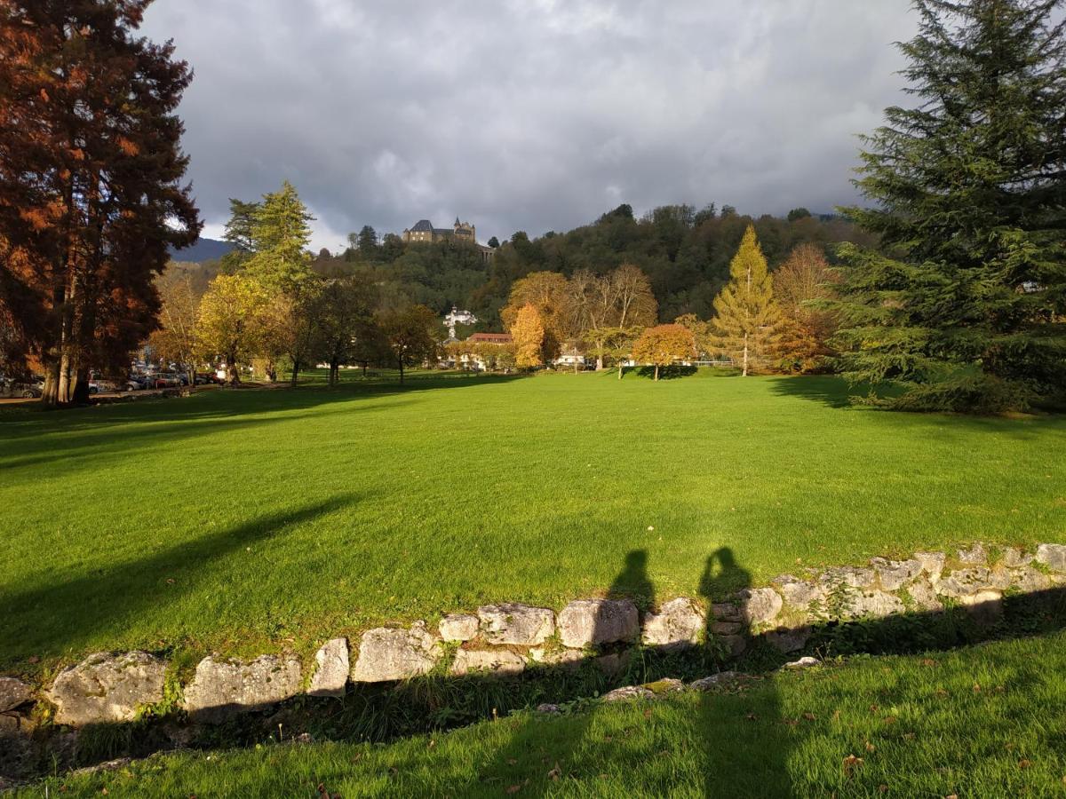 Appartement Chateau Uriage-Chamrousse Saint-Martin-dʼUriage Εξωτερικό φωτογραφία